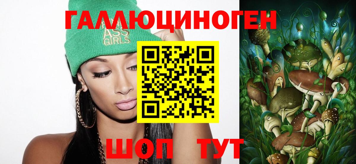 Псилоцибиновые грибы Psilocybine cubensis  Вход с VPN  Вольск  цена наркотик  Галлюциногенные грибы Cubensis 